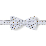 Nœud papillon à motif Gris à pois 1