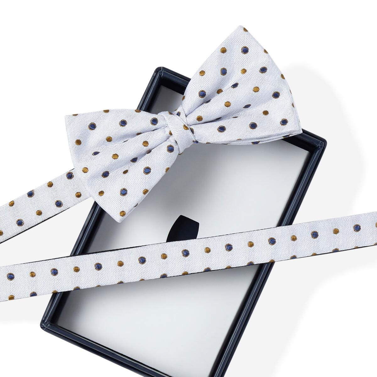 Nœud papillon à motif Gris à pois 2