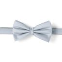 Nœud papillon à motif Gris rayures 1