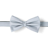 Nœud papillon à motif Gris rayures 1