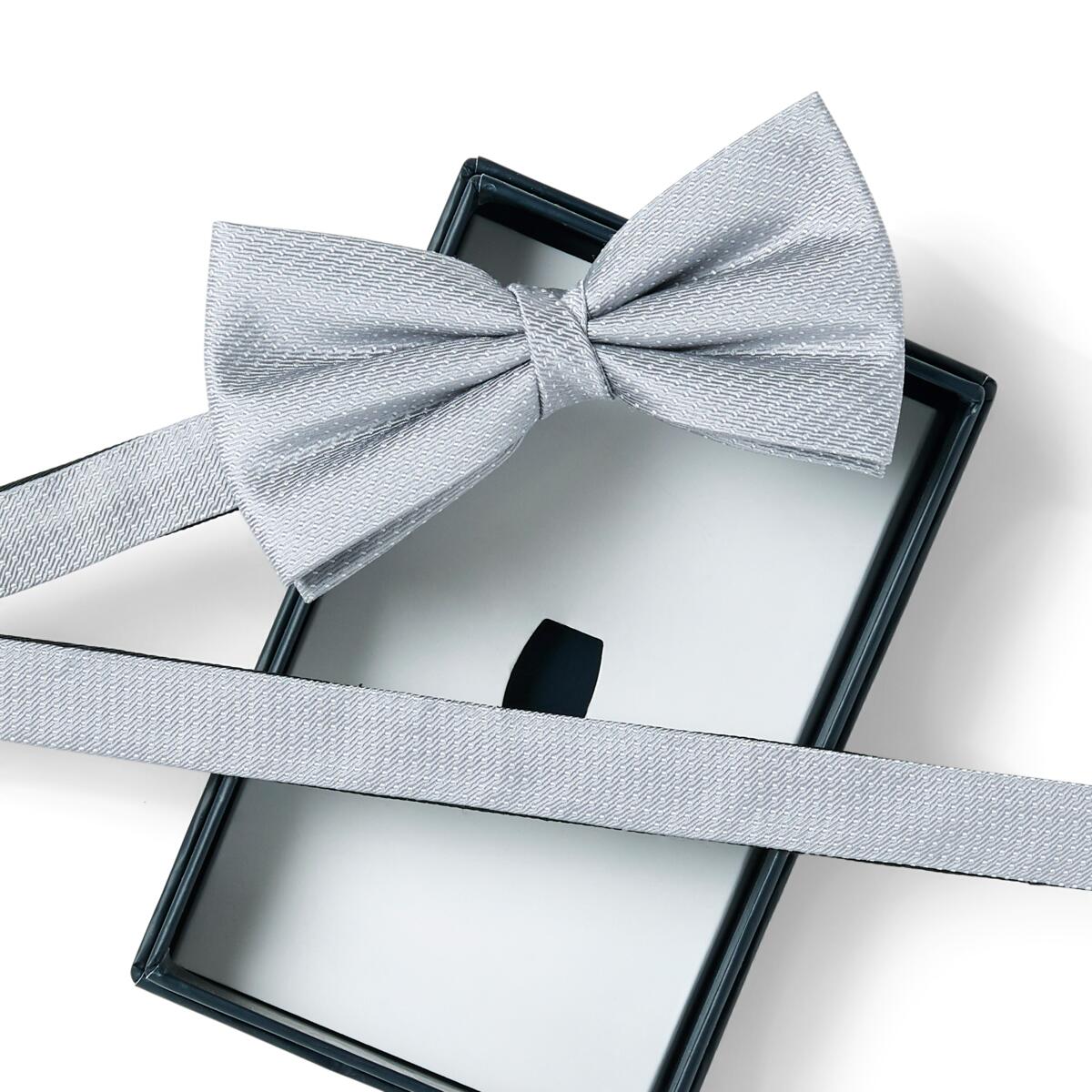 Nœud papillon à motif Gris rayures 2