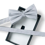 Nœud papillon à motif Gris rayures 2