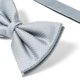 Nœud papillon à motif Gris rayures 3