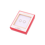 Boucles d’Oreilles Argentées Torsadées 3