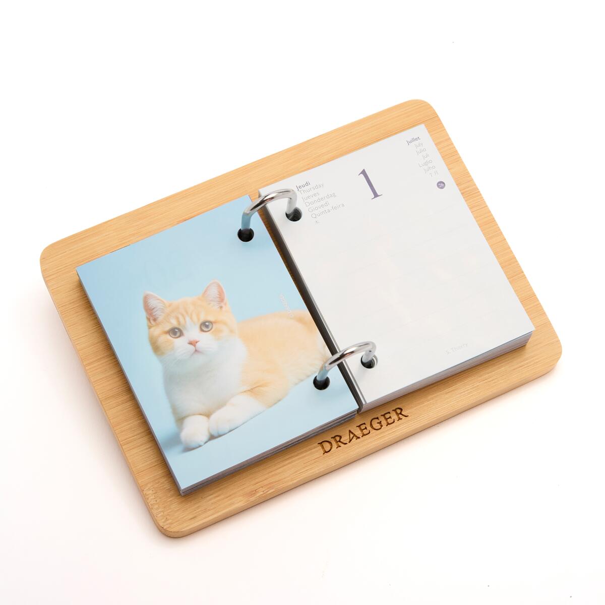 Agenda éphéméride 2027 Coffret chats 3