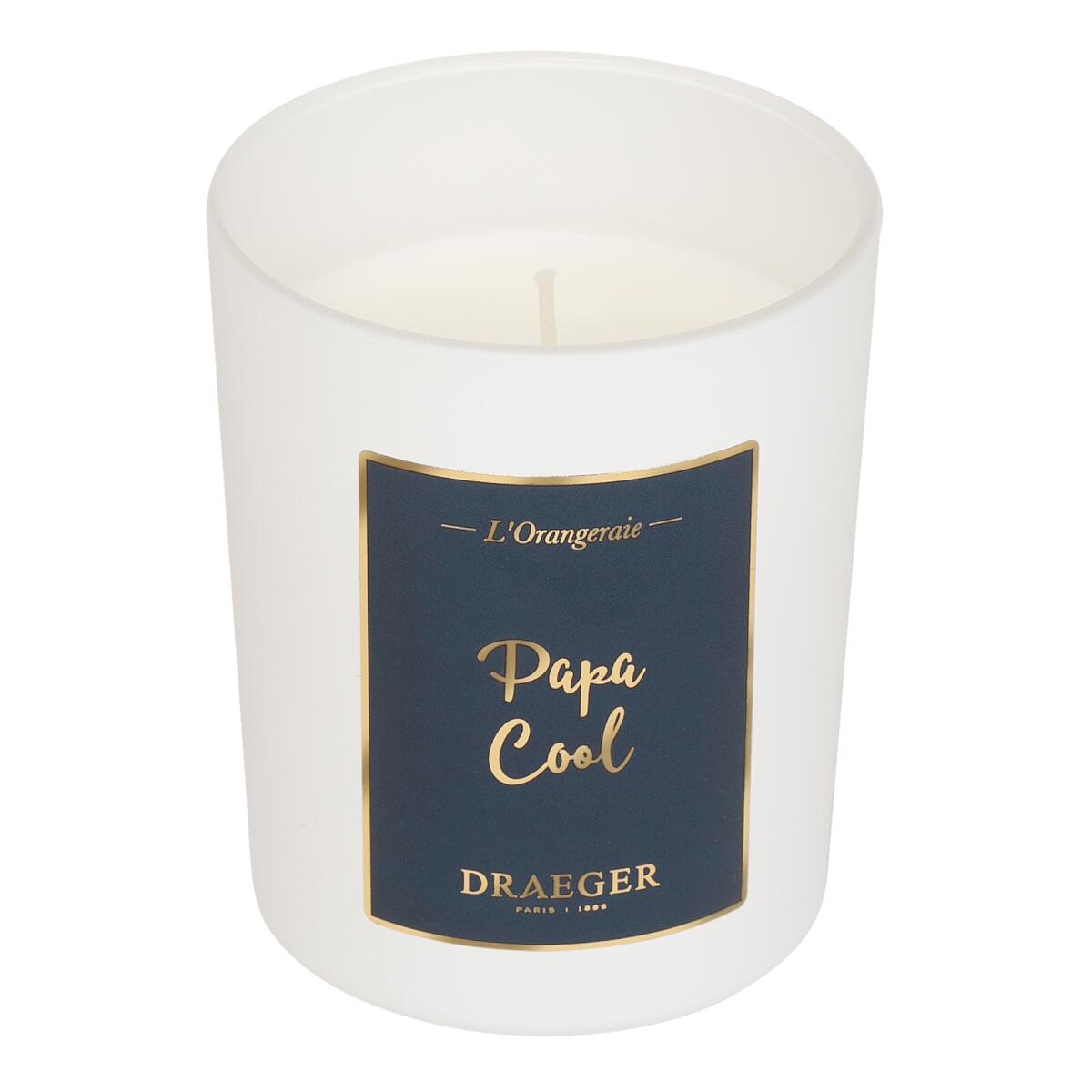 Bougie thème famille Papa cool 2