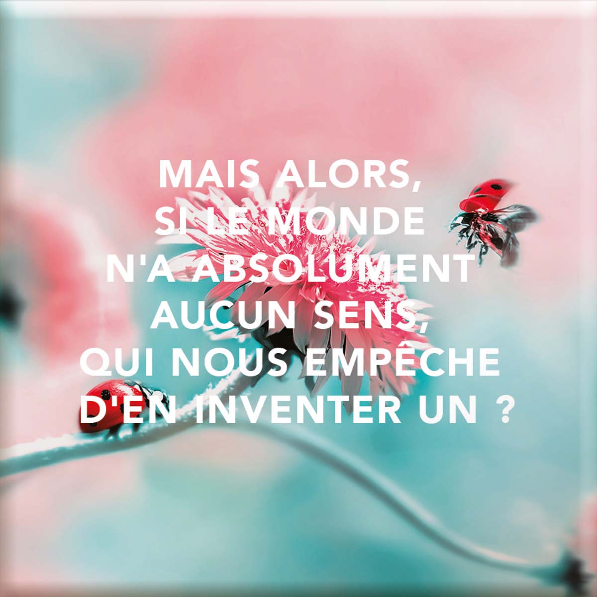 Magnet Aimanté - S'inventer un monde