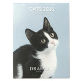 Petit calendrier 2026 Chats 1