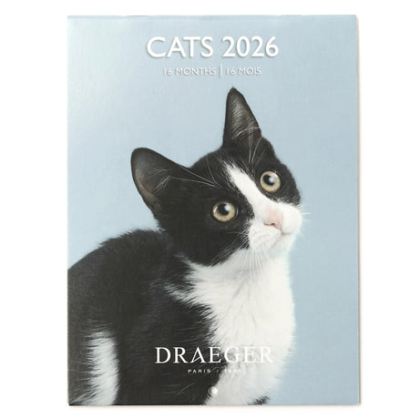 Petit calendrier 2026 Chats 1