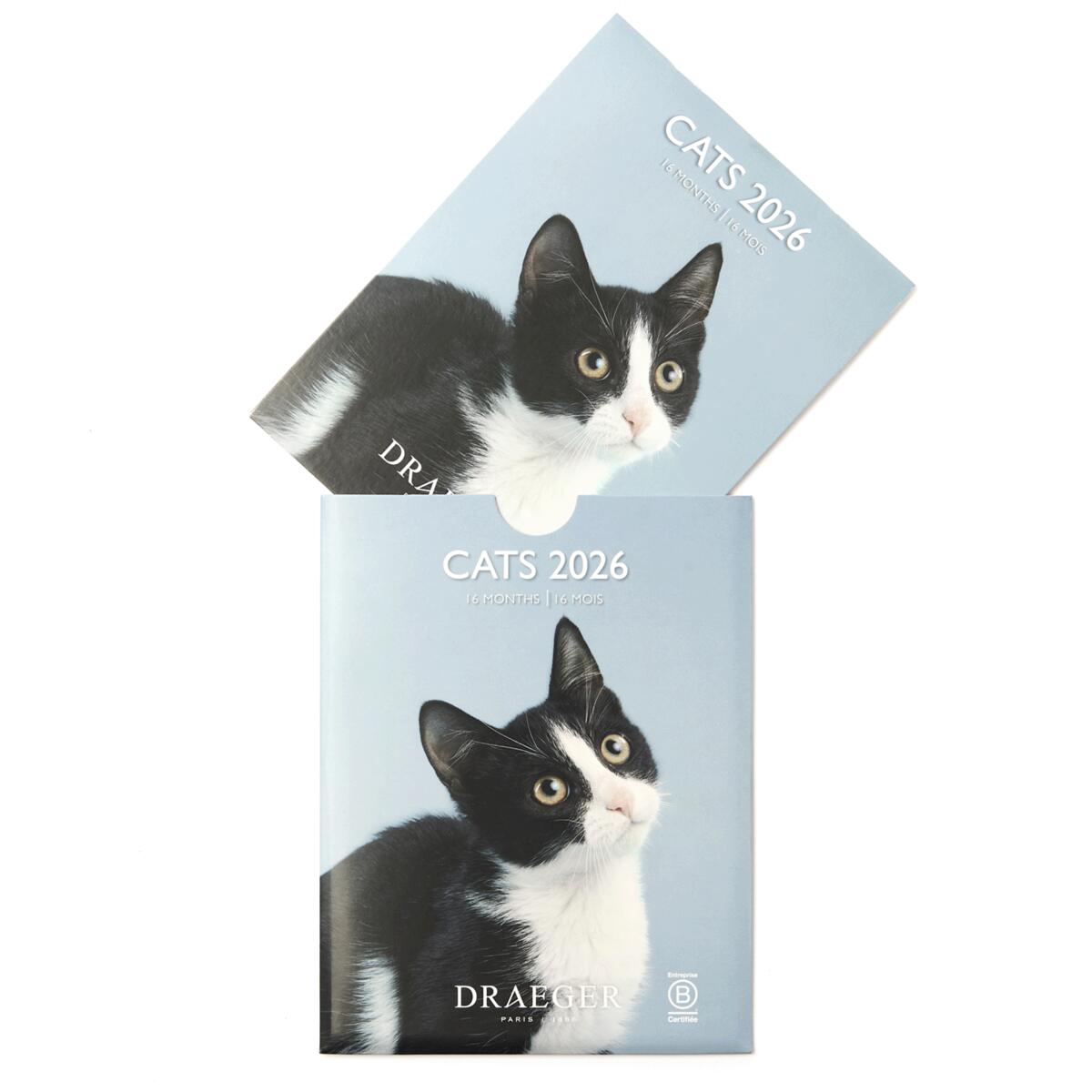 Petit calendrier 2026 Chats 3