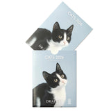 Petit calendrier 2026 Chats 3