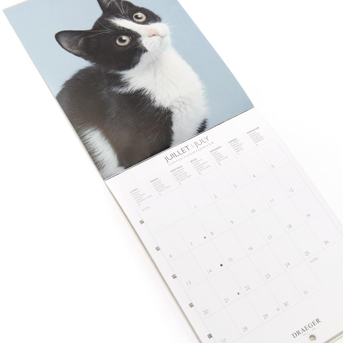 Petit calendrier 2026 Chats 4