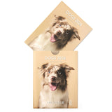 Petit calendrier 2026 Chiens 3