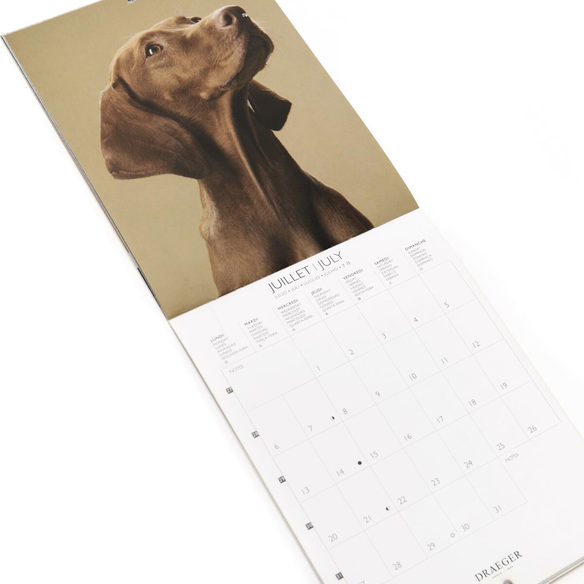 Petit calendrier 2026 Chiens 4
