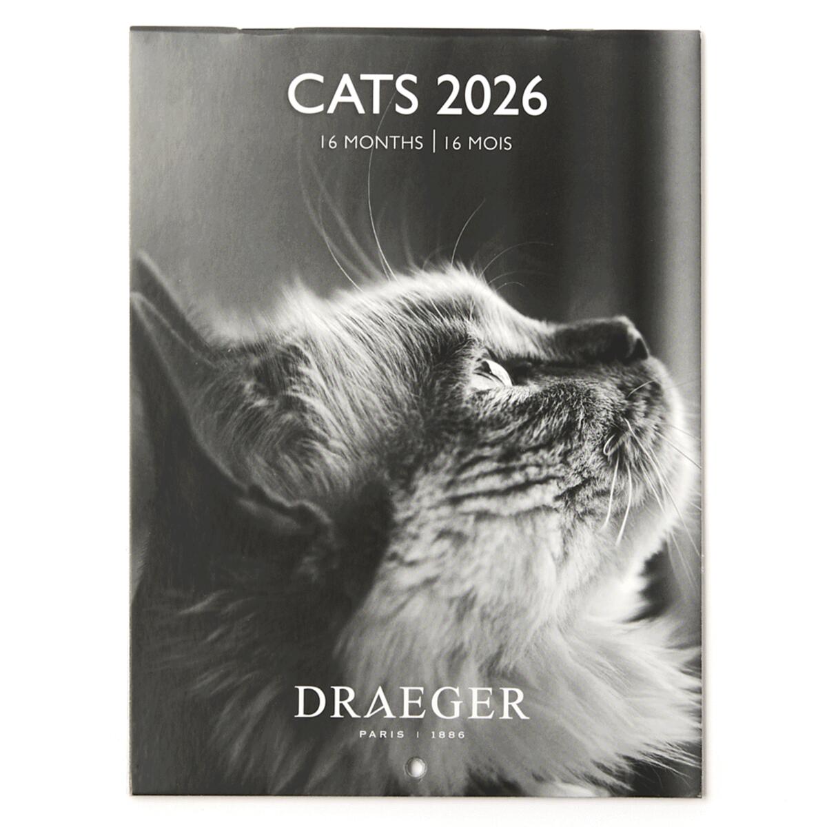 Petit calendrier 2026 Chats noir & blanc 1