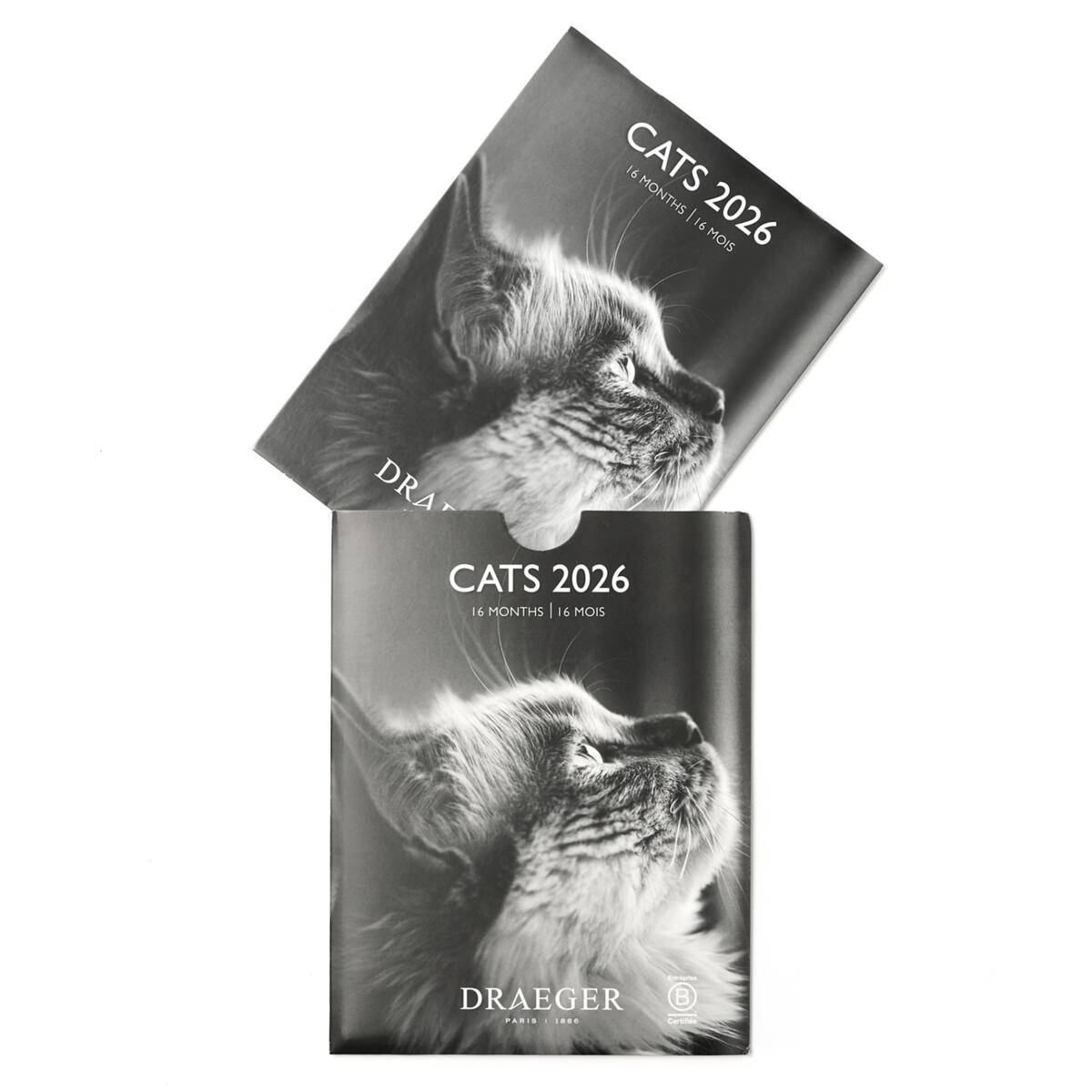 Petit calendrier 2026 Chats noir & blanc 3