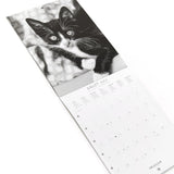 Petit calendrier 2026 Chats noir & blanc 4