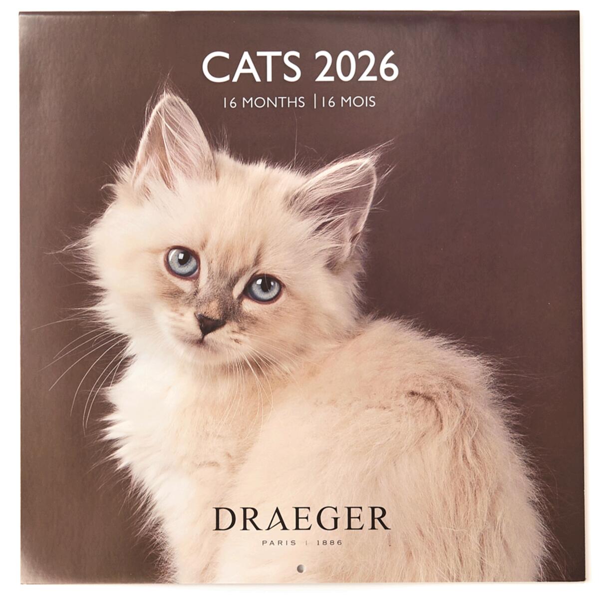 Grand calendrier mural 2026 Chats 1