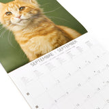 Grand calendrier mural 2026 Chats 4