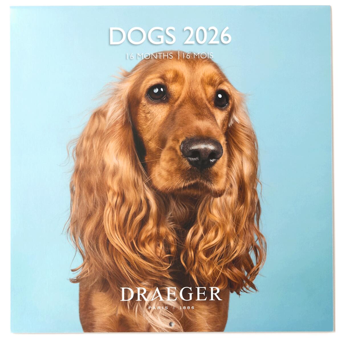 Grand calendrier mural 2026 Chiens 1