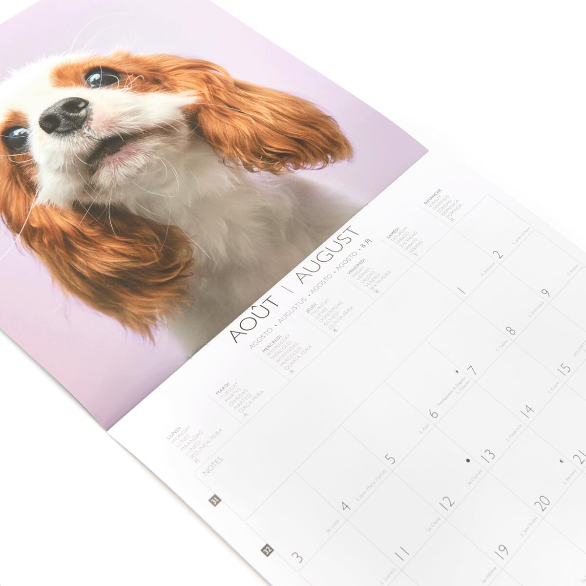 Grand calendrier mural 2026 Chiens 4