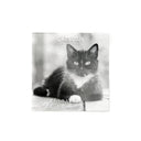 Small wall calendar 14x18 cm 2024