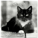 Grand calendrier mural 2026 Chats Noir & Blanc 1