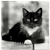 Grand calendrier mural 2026 Chats Noir & Blanc 1