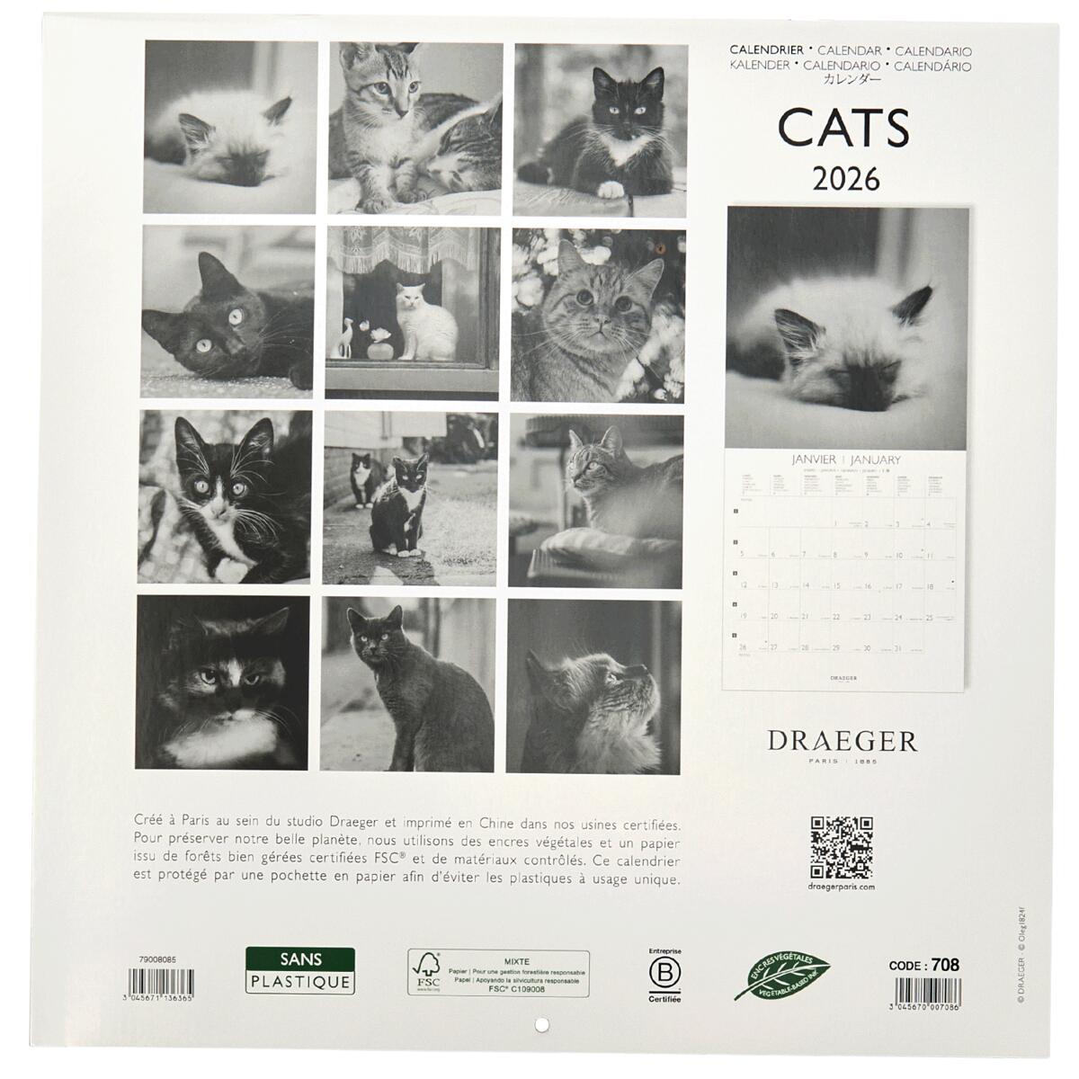 Grand calendrier mural 2026 Chats Noir & Blanc 2
