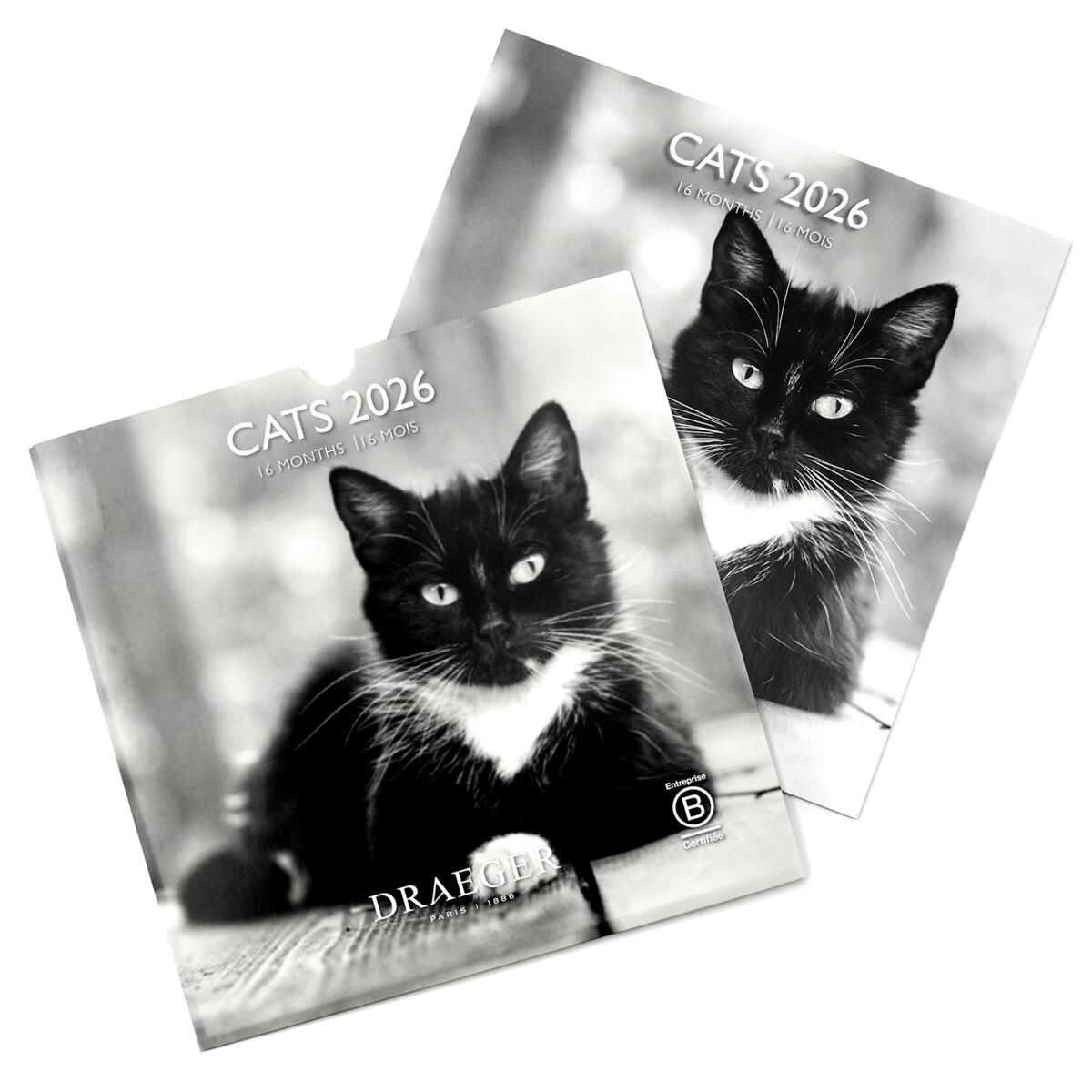 Grand calendrier mural 2026 Chats Noir & Blanc 3