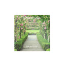 Small wall calendar 14x18 cm 2024