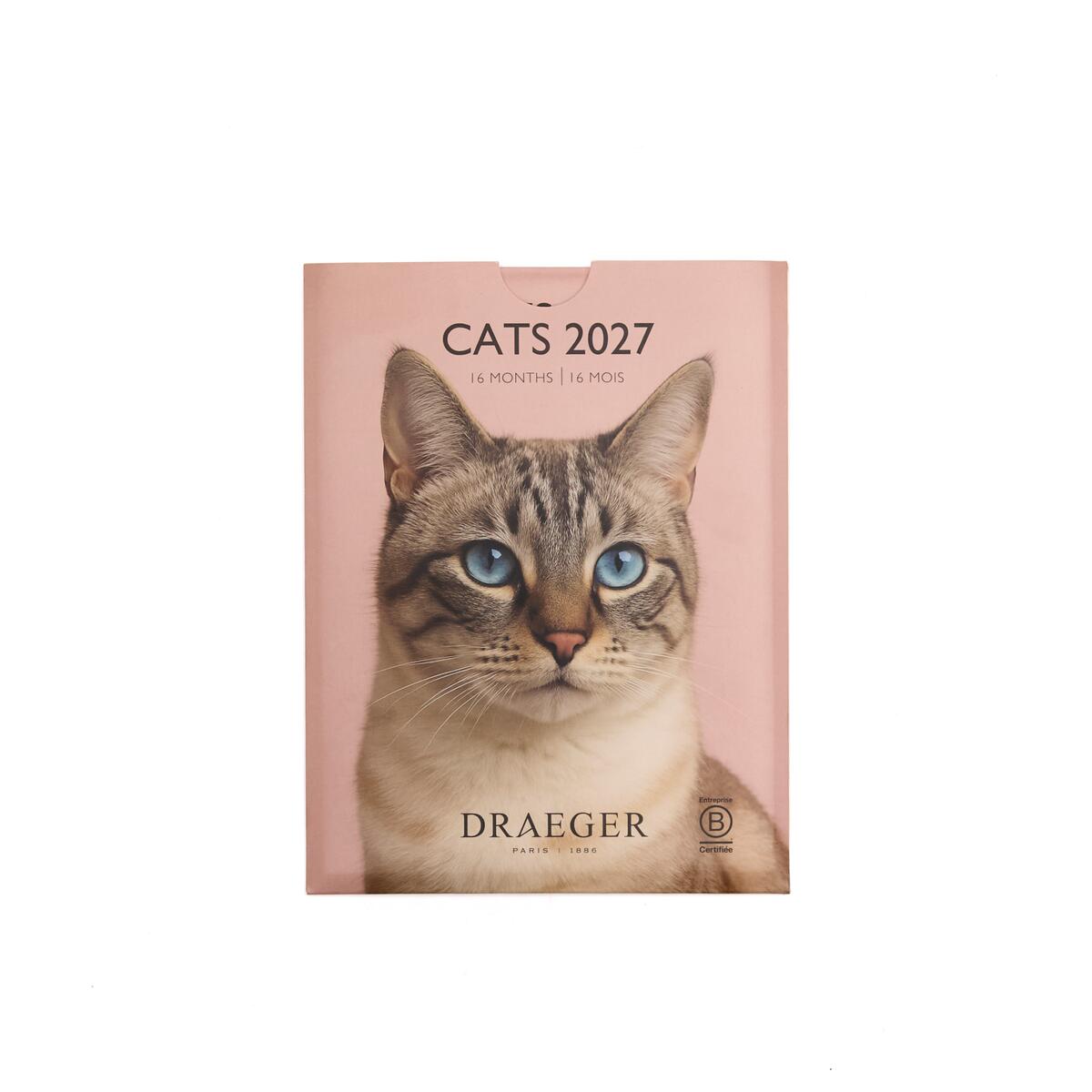 Petit calendrier mensuel 2027 Chats 1