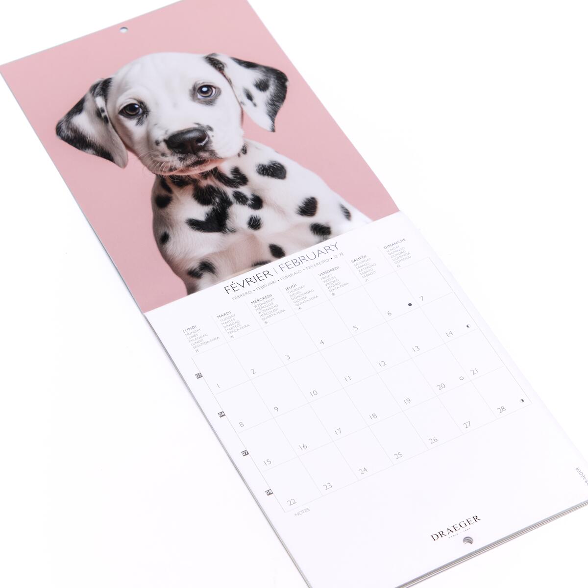 Petit calendrier mensuel 2027 Chiens 3