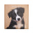 Grand calendrier mensuel 2027 Chiens 1