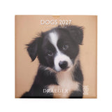 Grand calendrier mensuel 2027 Chiens 1