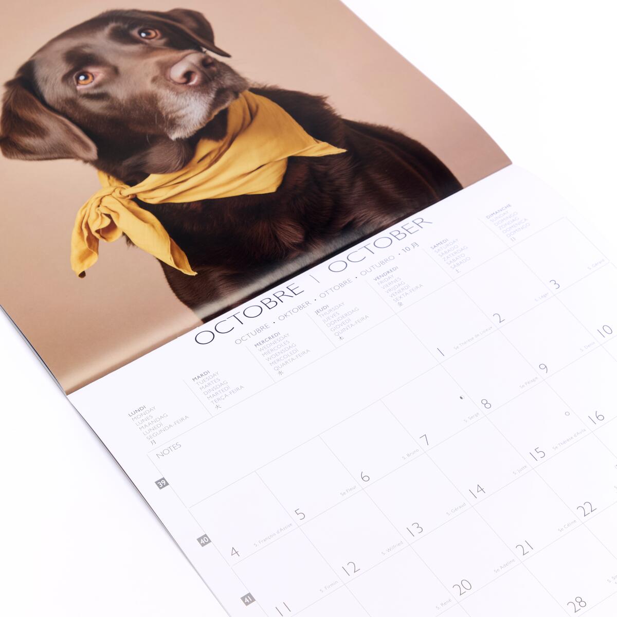 Grand calendrier mensuel 2027 Chiens 3