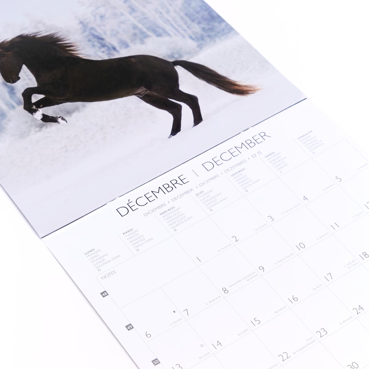 Grand calendrier mensuel 2027 Chevaux 3