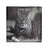 Grand calendrier mensuel 2027 Chats Noir & Blanc 1