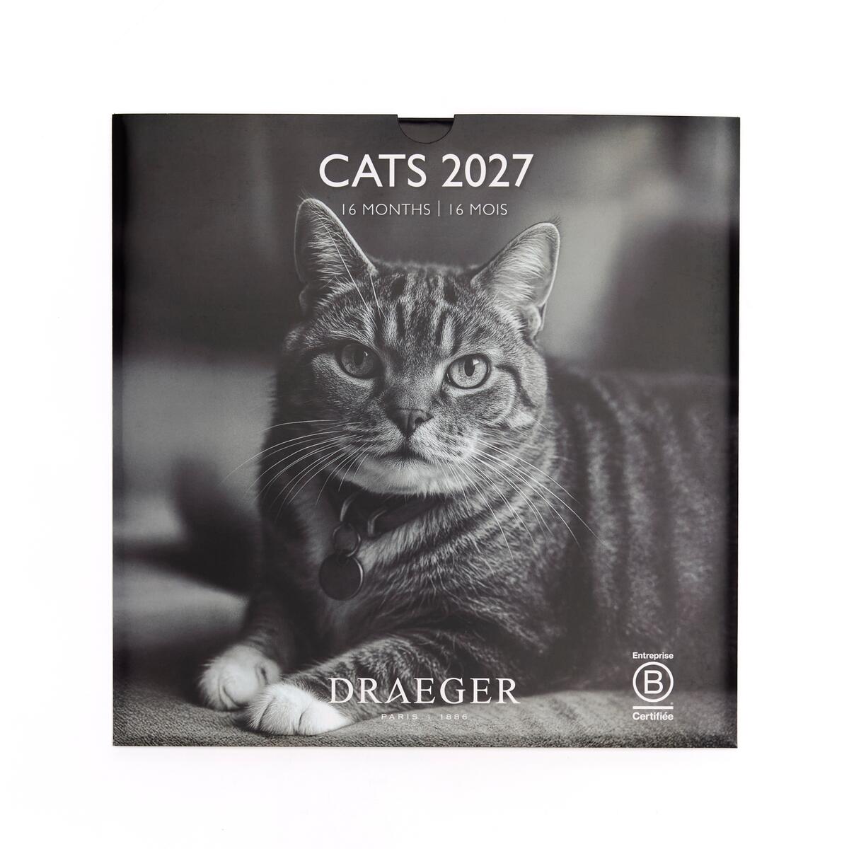 Grand calendrier mensuel 2027 Chats Noir & Blanc 1