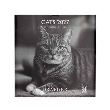 Grand calendrier mensuel 2027 Chats Noir & Blanc 1