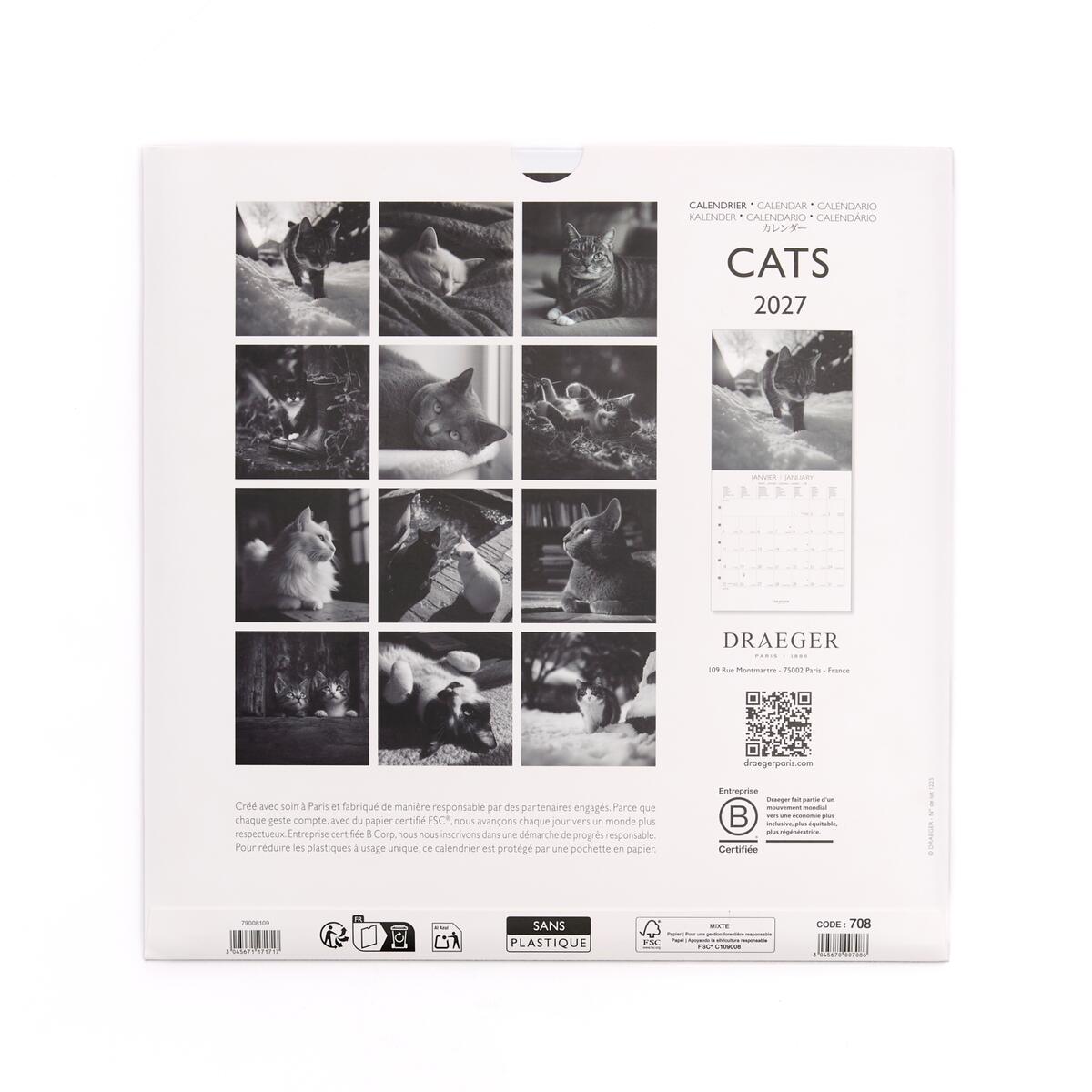 Grand calendrier mensuel 2027 Chats Noir & Blanc 2