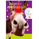 Carte anniversaire humour Ane 1