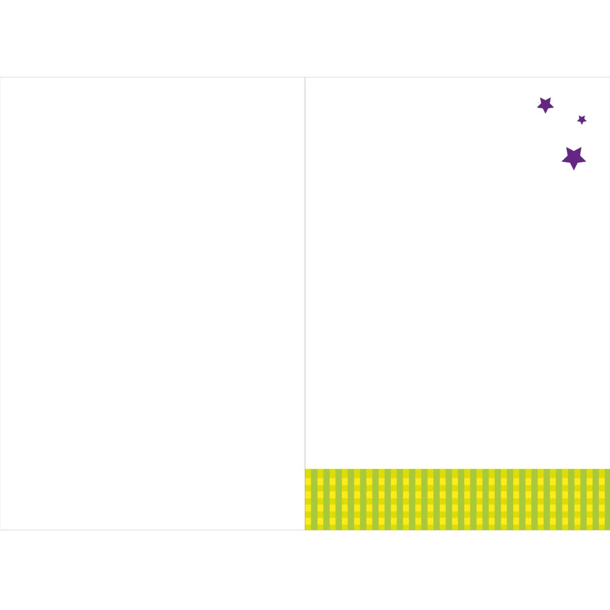 Carte anniversaire humour Ane 2