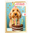Carte anniversaire humour Chien gâteau 1