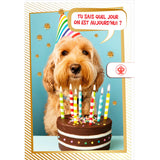 Carte anniversaire humour Chien gâteau 1