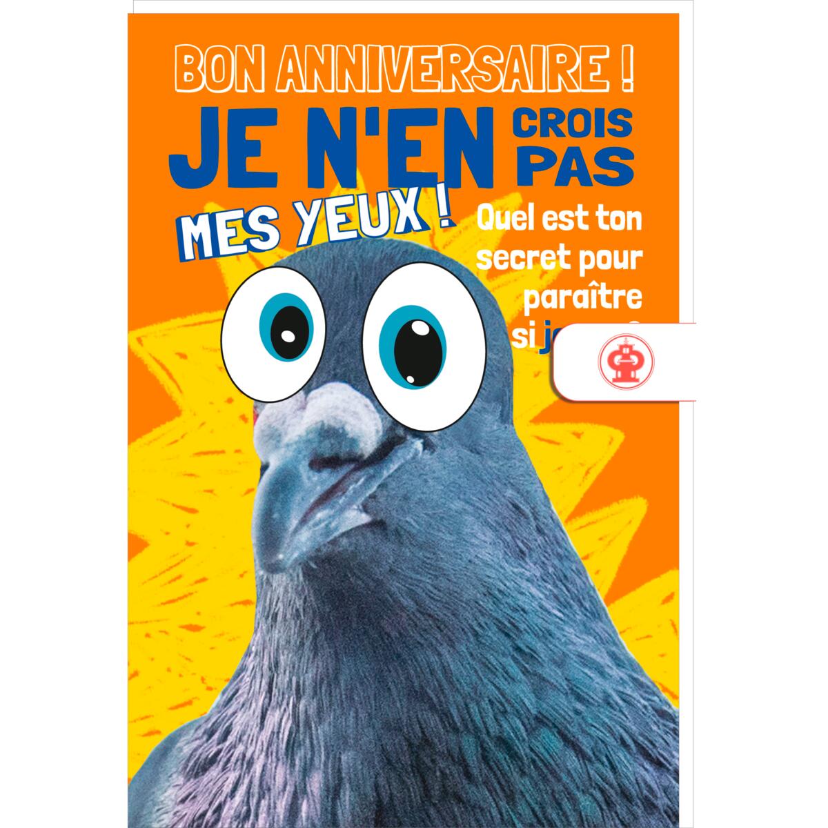 Carte anniversaire humour Pigeon 1