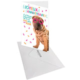 Carte anniversaire humour Chien rides 3