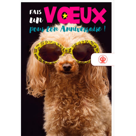 Carte anniversaire humour Chien star 1