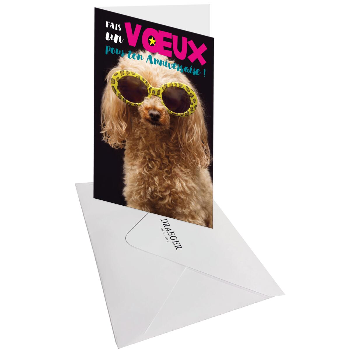 Carte anniversaire humour Chien star 3