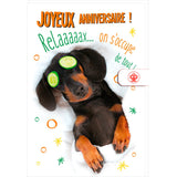 Carte anniversaire humour Chien relax 1